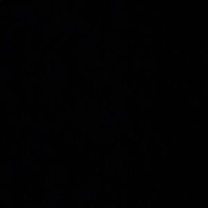 Meet your Posher, Adison